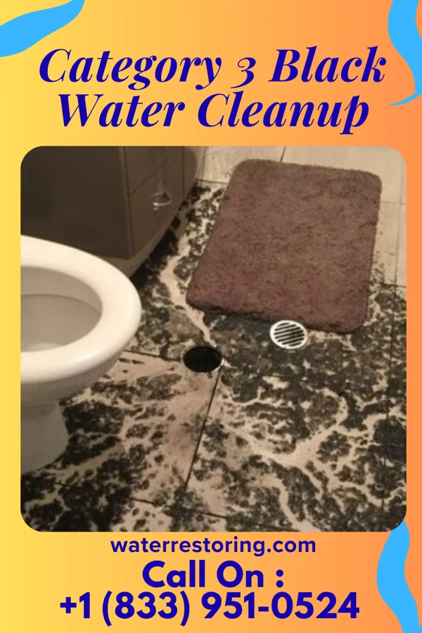 Category 3 Black Water Cleanup in Highland Holiday, OH