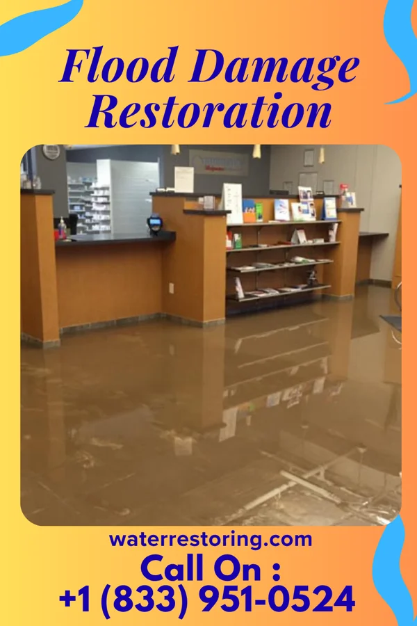 Flood Damage Restoration in Highland Holiday, OH
