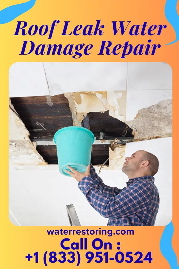 Roof Leak Water Damage Repair in Highland Holiday, OH