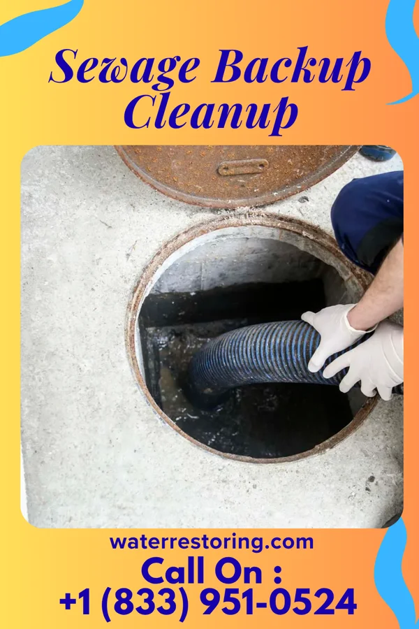 Sewage Backup Cleanup in Highland Holiday, OH