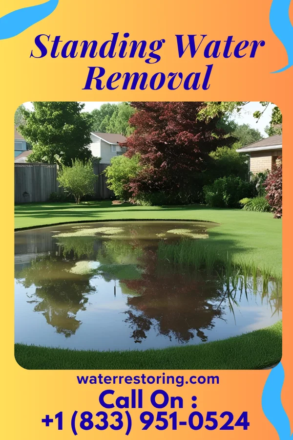 Standing Water Removal in Highland Holiday, OH